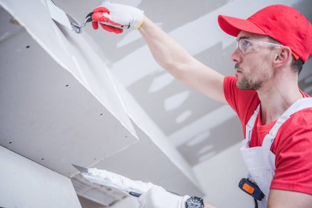 Best Water Damage & Mold Remediation  in East Palestine, OH